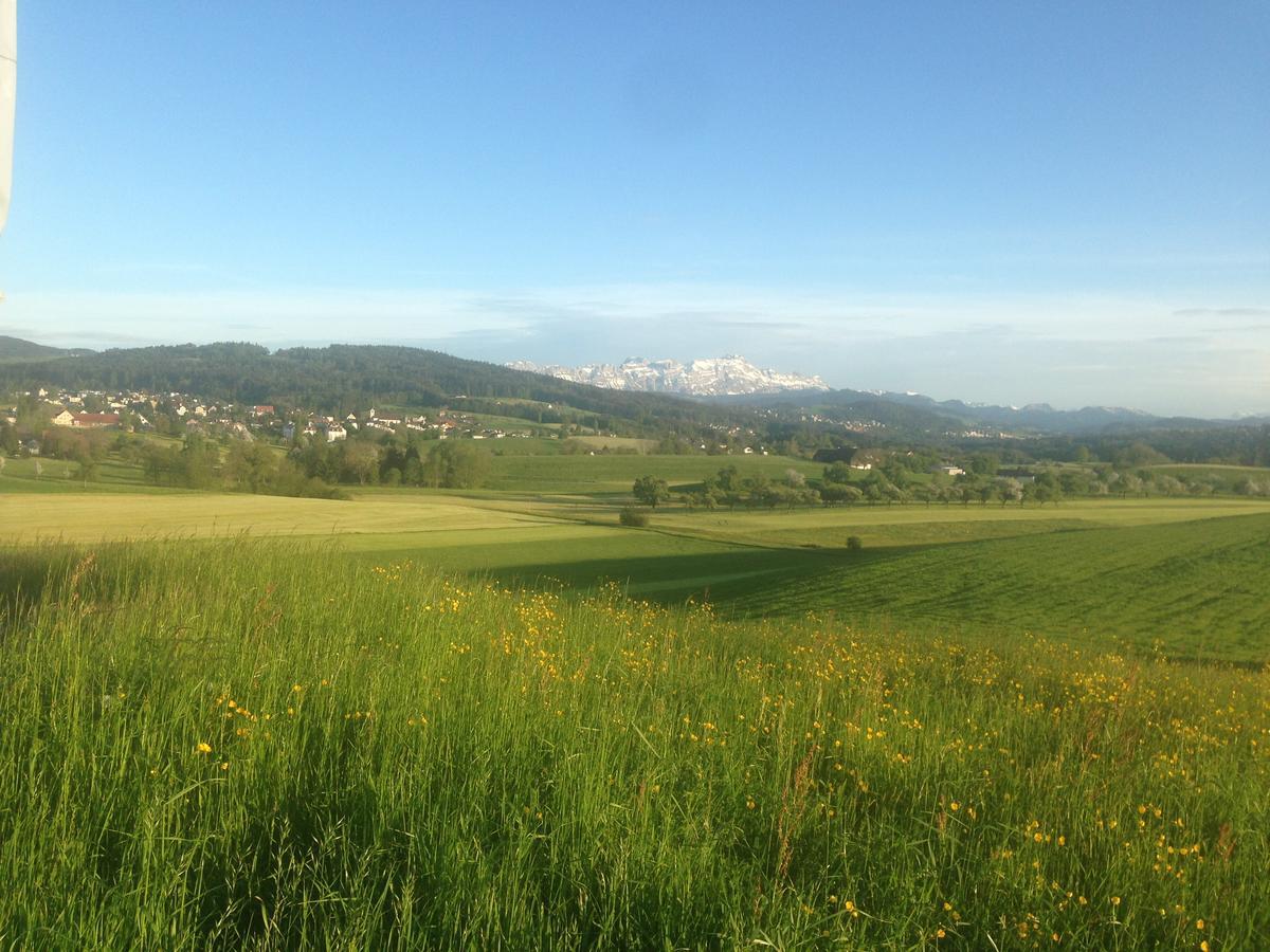 Garni Roessli 2* Wittenbach